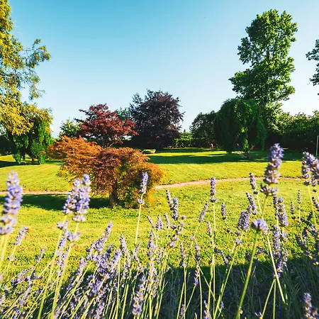 Nocleg ze śniadaniem Casa Danoi 3*